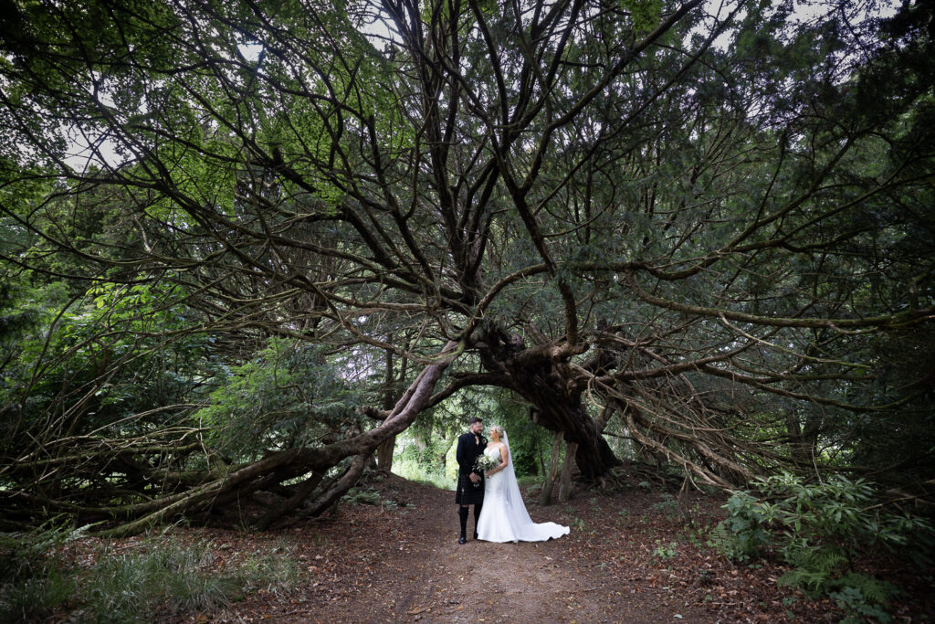 wide angle of bride & groom portrait under a fallen tree